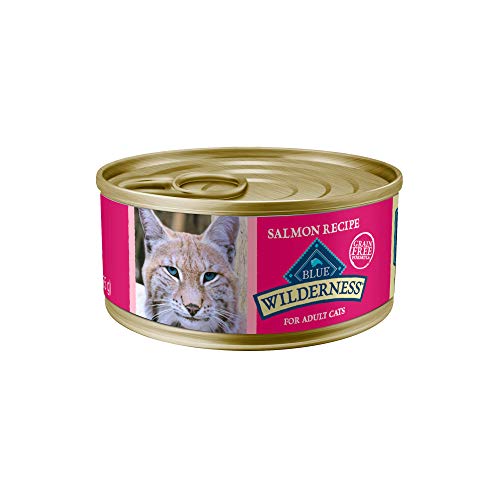 is canned food better for cats