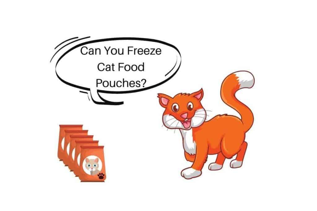 Can You Cat Speach bubble "Freeze Cat Food Pouches"