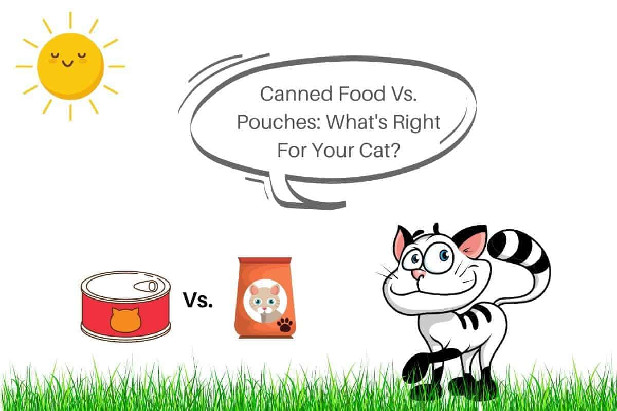 Canned Food Vs. Pouches: What’s Right For Your Cat?