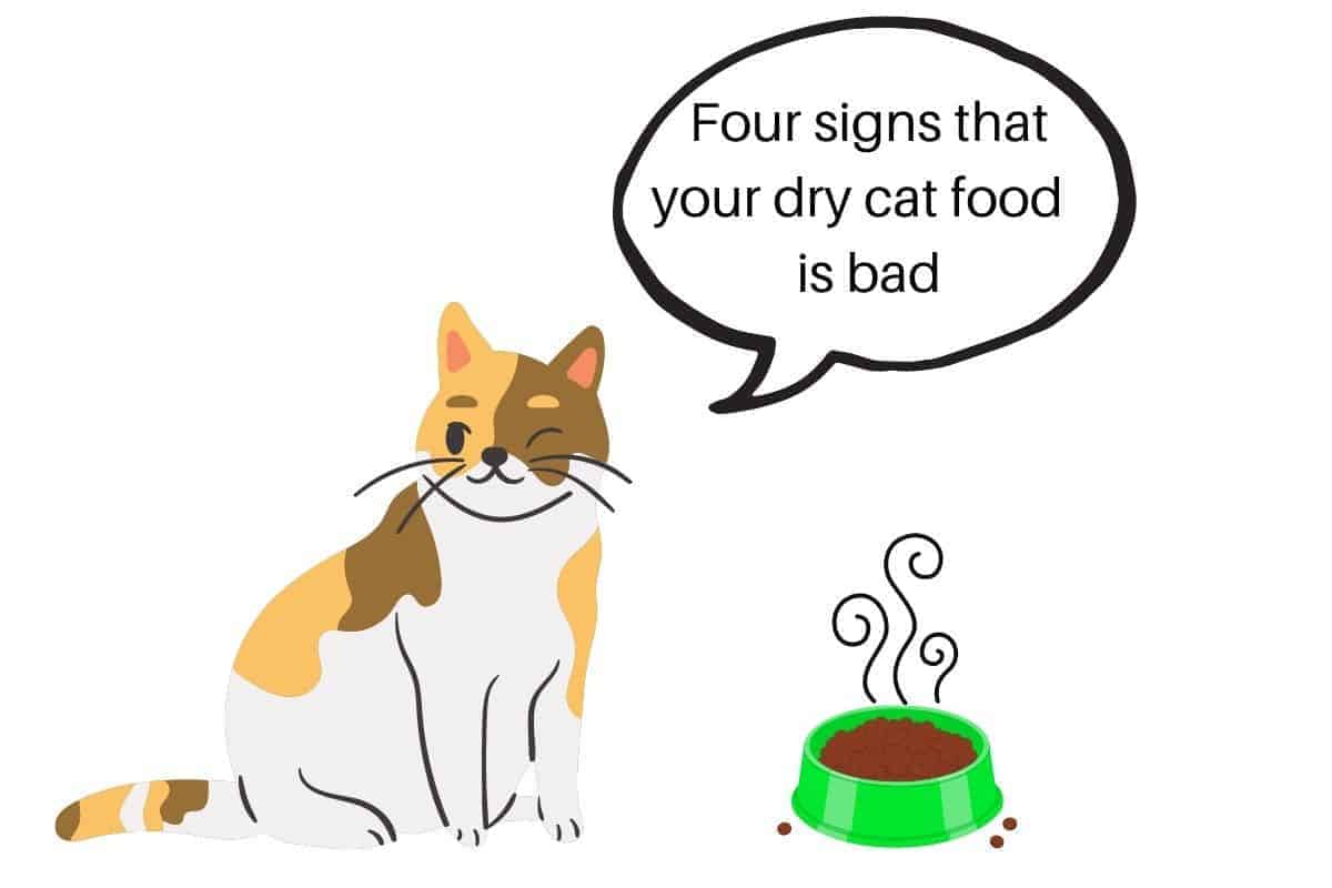 a cat saying "Four signs that your dry cat food is bad"