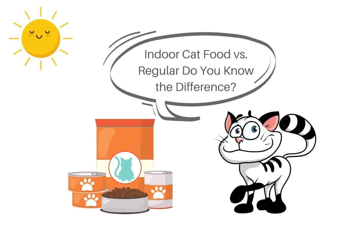 Indoor Cat Food vs. Regular Do You Know the Difference