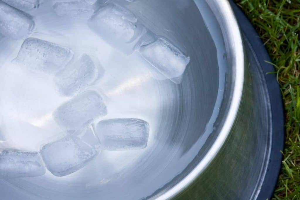 Ice water in a bowl