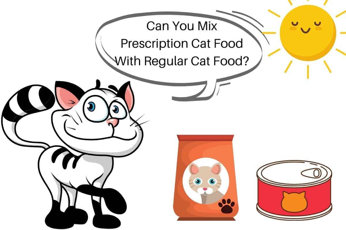 Can You Mix Prescription Cat Food With Regular Cat Food?