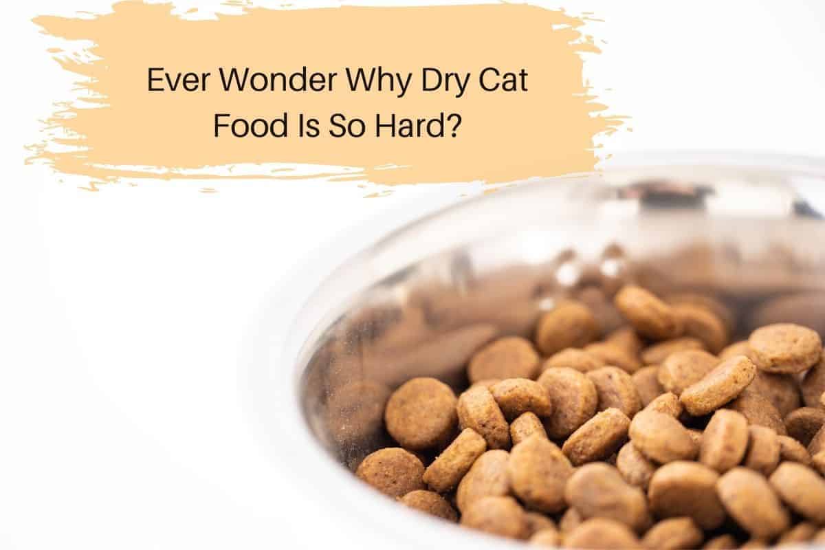Ever Wonder Why Dry Cat Food Is So Hard?