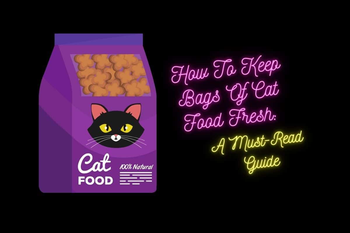 How To Keep Bags Of Cat Food Fresh: A Must-Read Guide