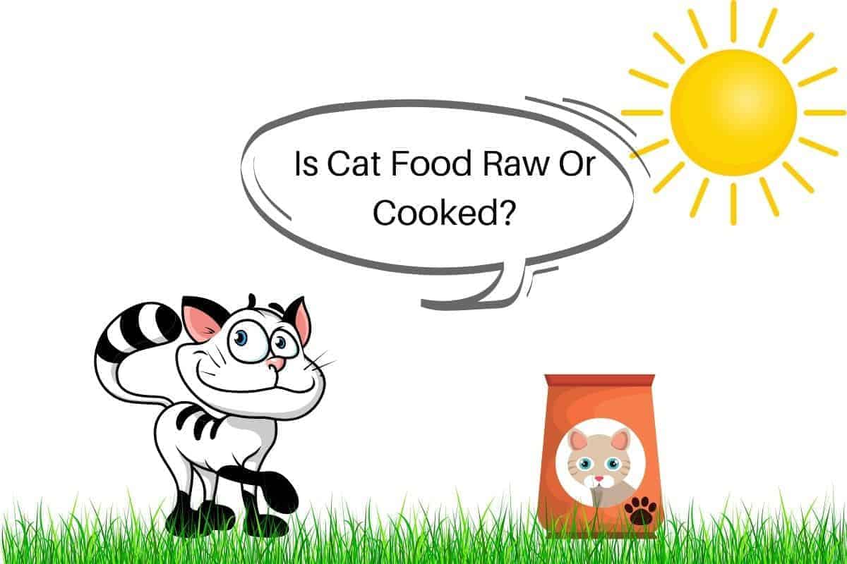Is Cat Food Raw Or Cooked?