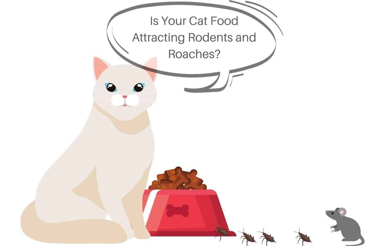 Is Your Cat Food Attracting Rodents and Roaches?