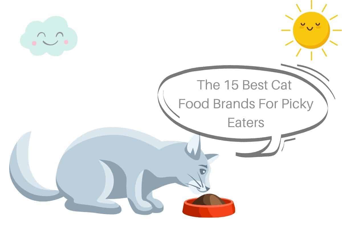 The 15 Best Cat Food Brands For Picky Eaters