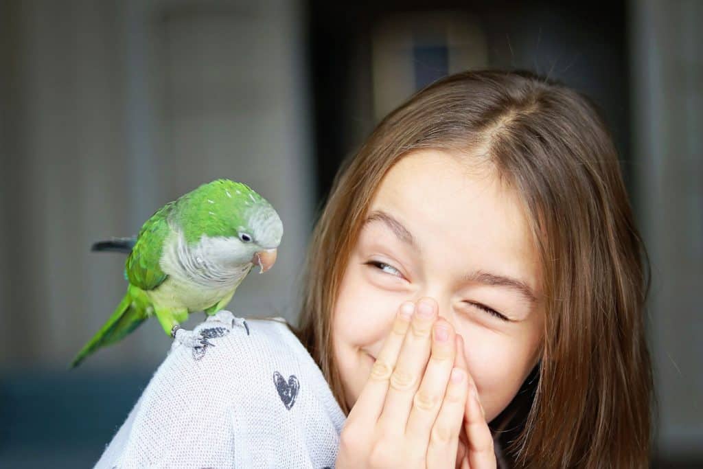 What Are The Best Parrots For A Family?