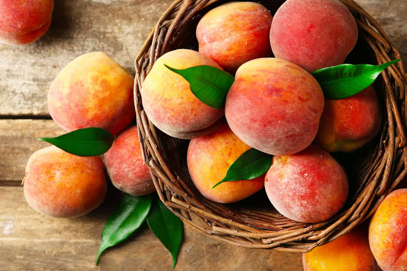 Are Peaches Safe For Parrots To Eat?