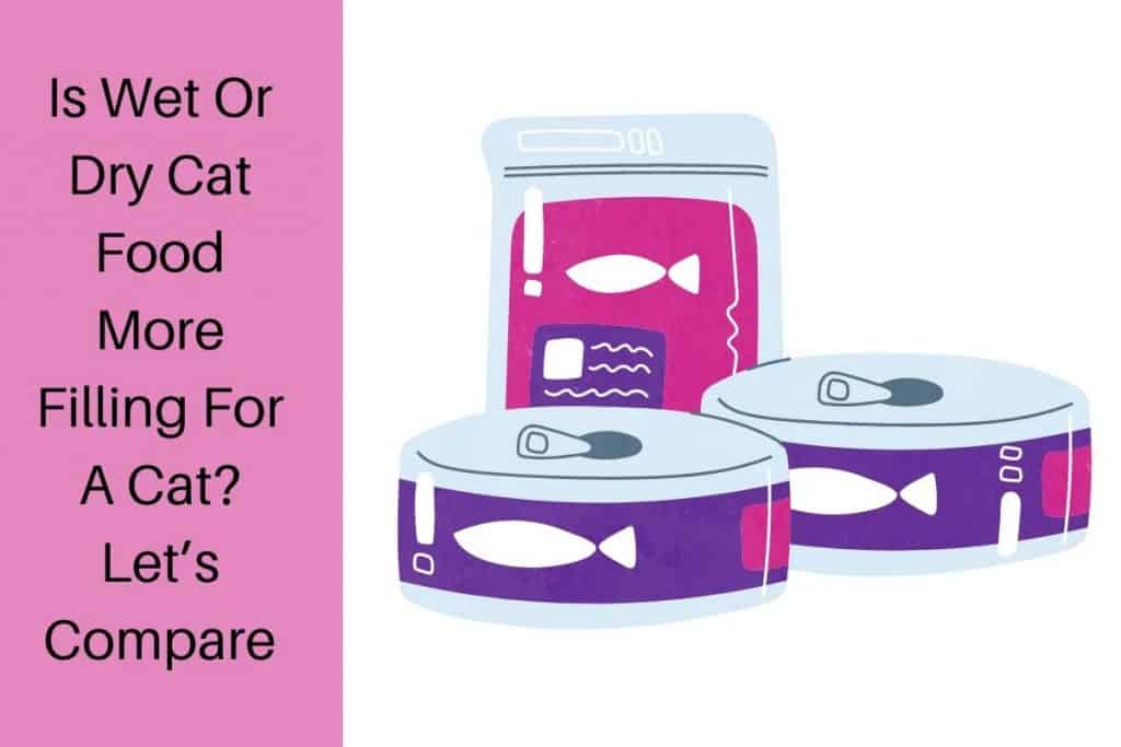 Dry and wet cat food