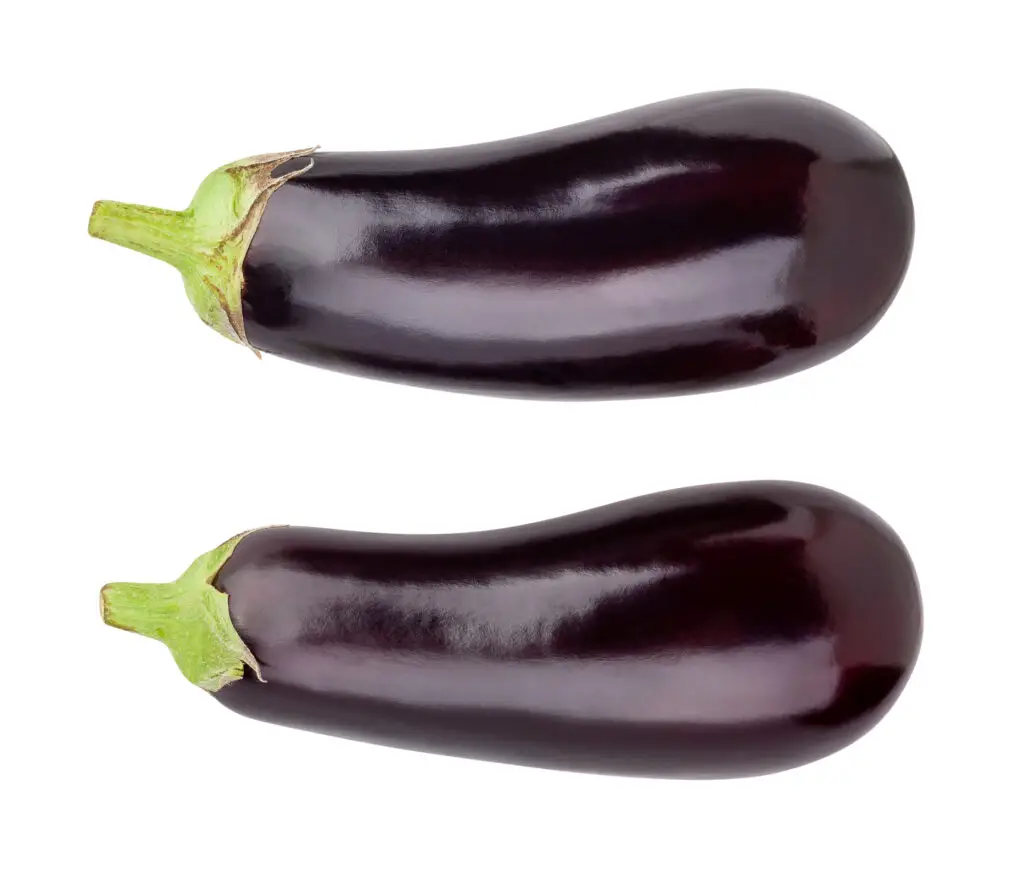 Avoid eggplant with birds. Learn more at Petrestart.com.