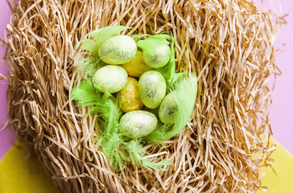 A nest of parakeet eggs is shown in this close-up. Learn about parakeet care at petrestart.com.