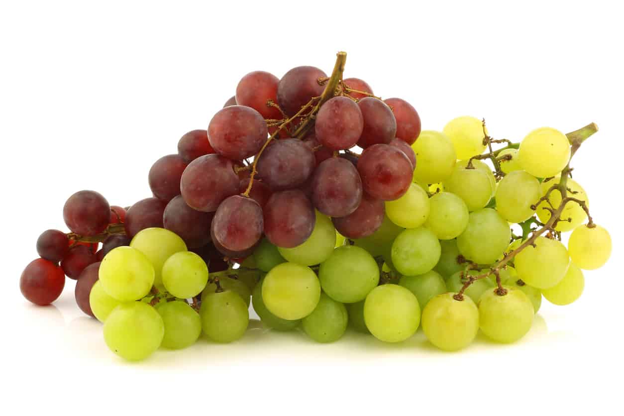 Can Cockatiel Eat Grapes? Read This Exclusive at PetRestart.com.