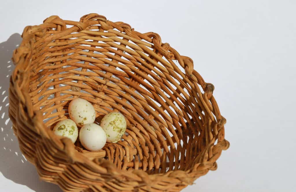 Budgie eggs in a basket. Learn what budgies use for nesting at PetRestart.com.